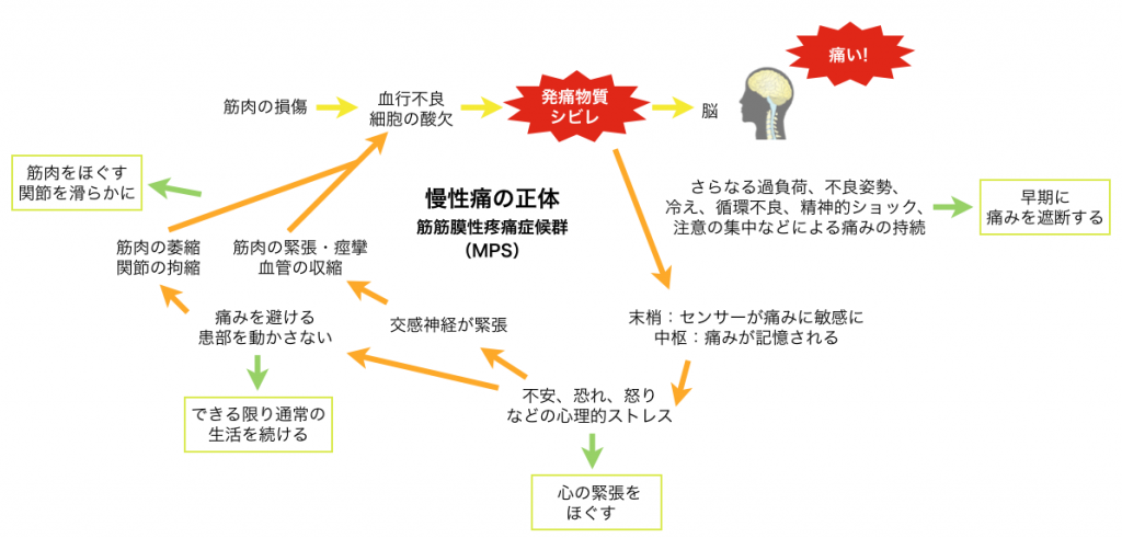 慢性痛のメカニズム